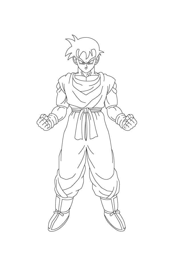 Dragon Ball Z Son Gohan fargelegging
