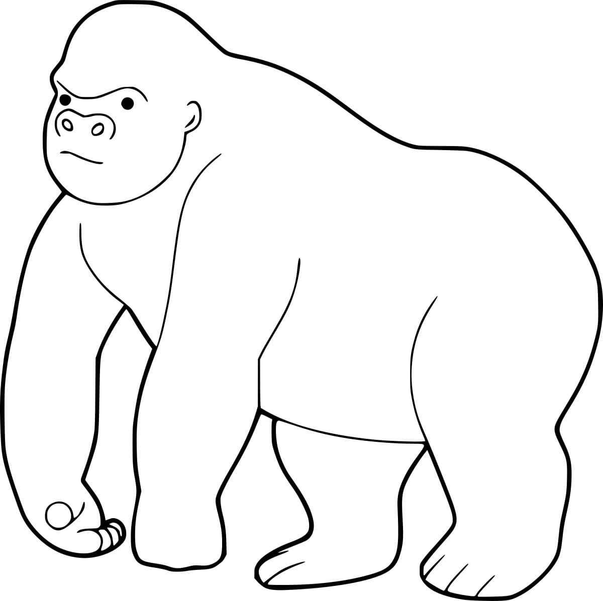 Enkel gorilla fargelegging