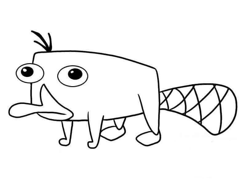 Perry fra Phineas og Ferb fargelegging