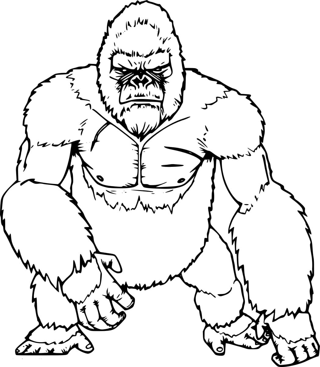 Sint gorilla fargelegging