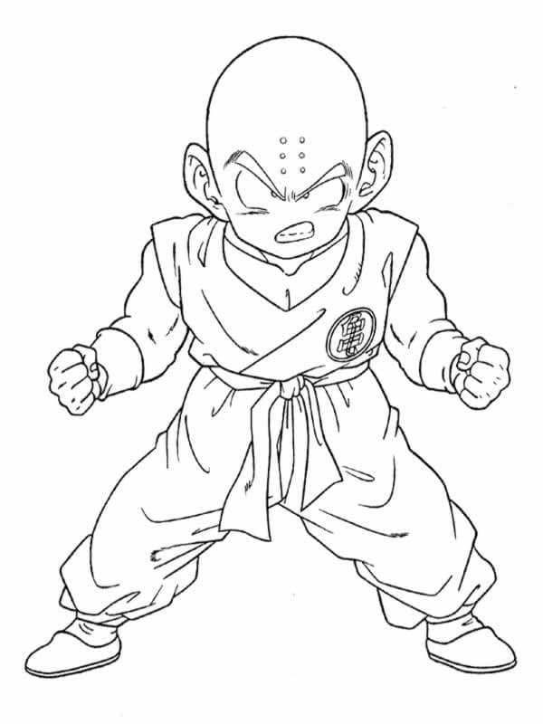 Sint Krillin fargelegging