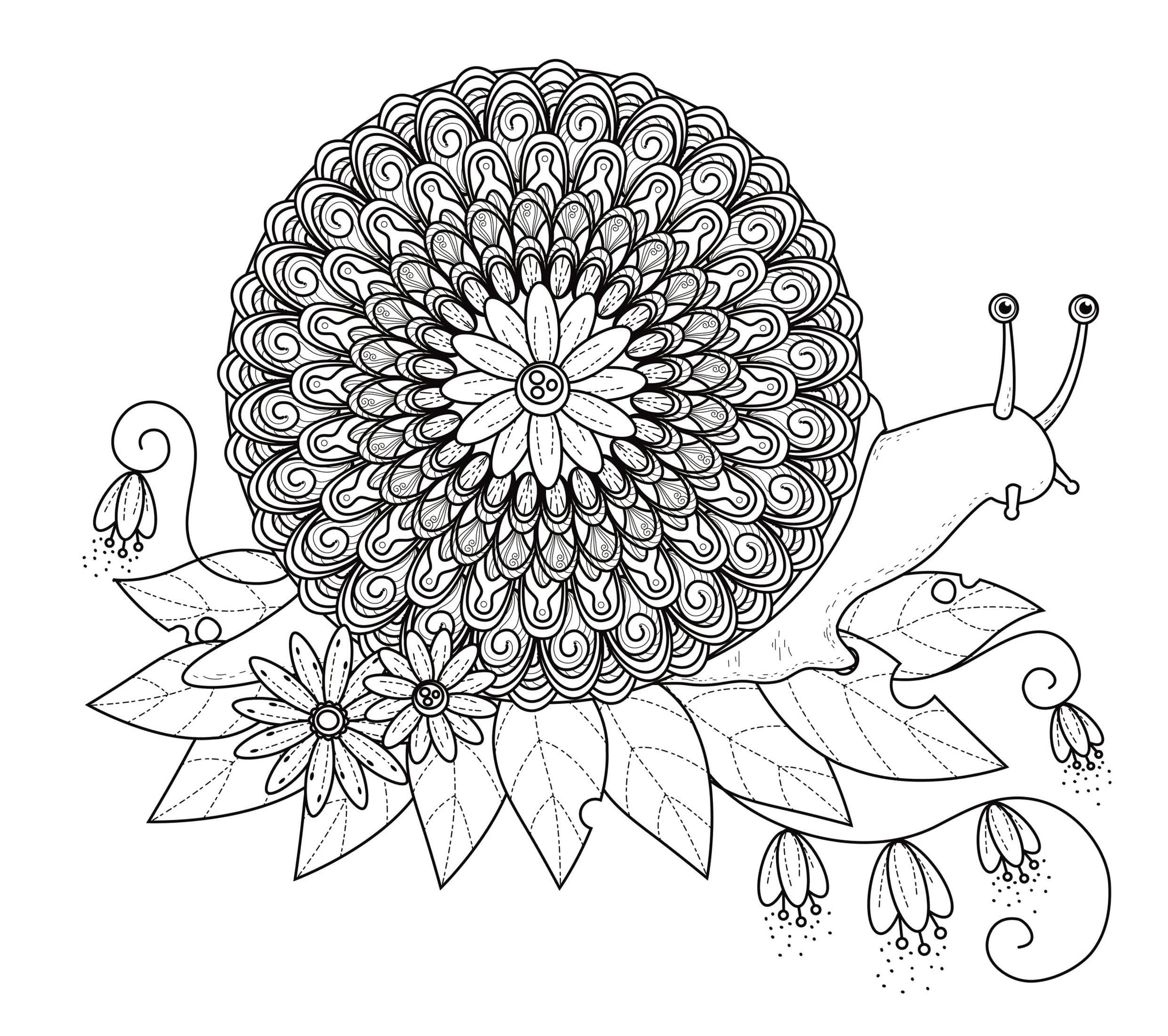 Sneglemandala fargelegging