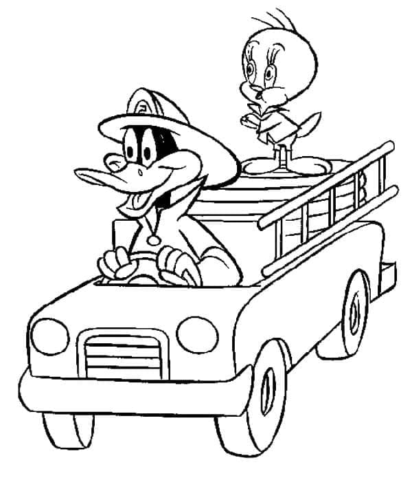 Daffy Duck og Tweety Bird fargelegging