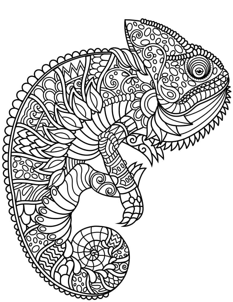 Kameleon Zentangle fargelegging