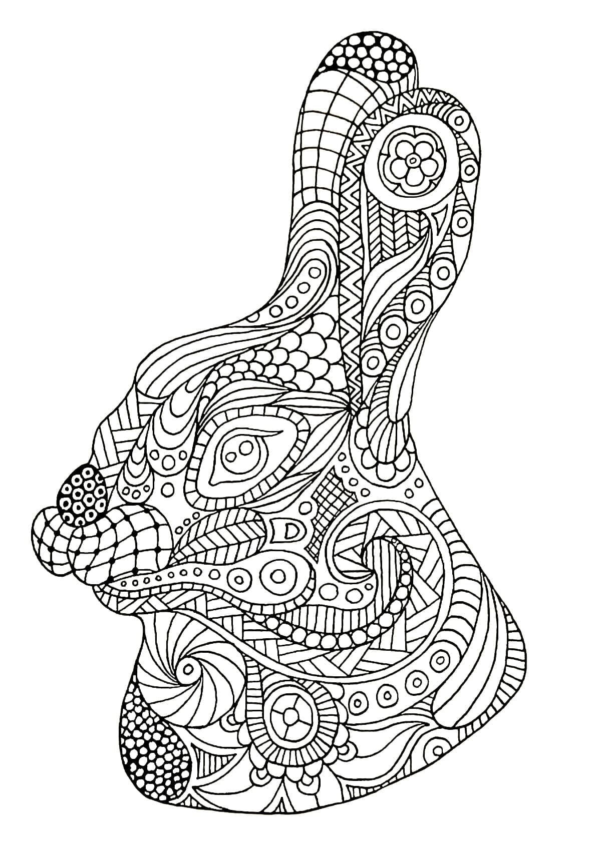Kaninzentangle fargelegging
