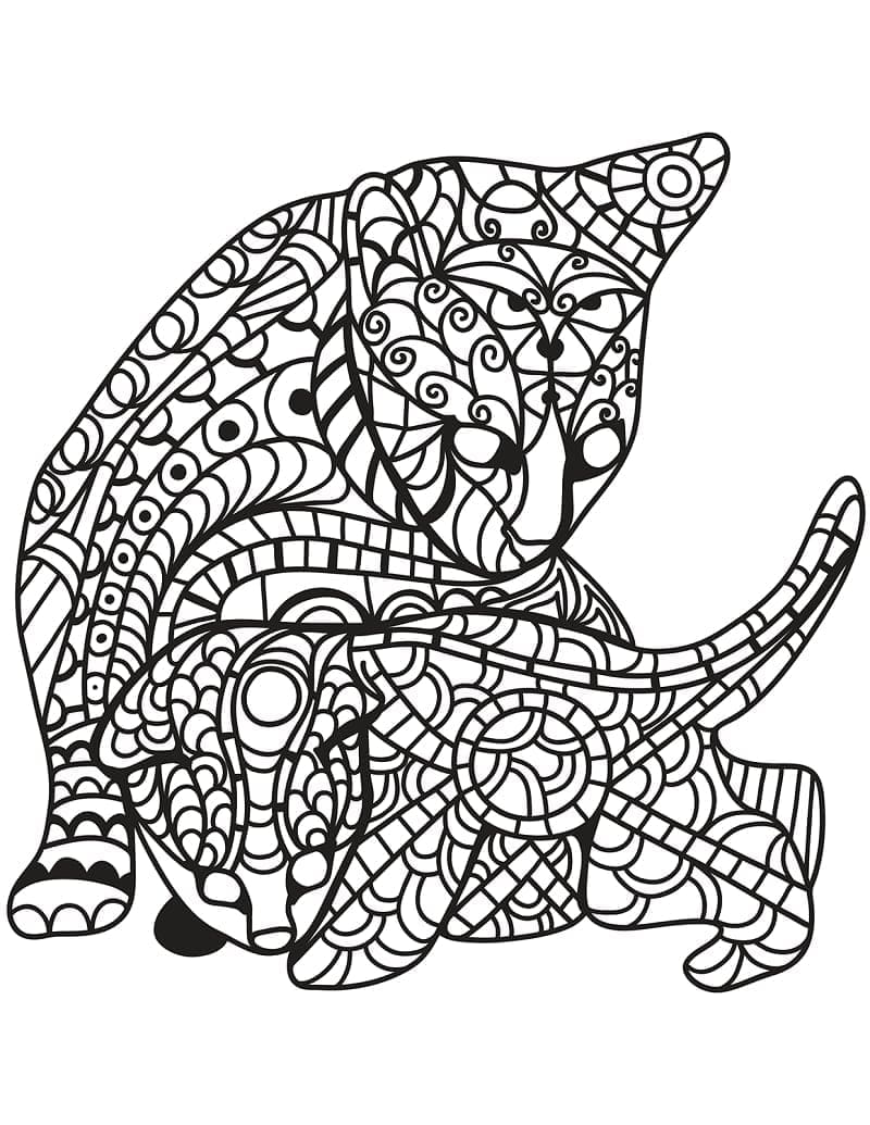 Katter Zentangle fargelegging