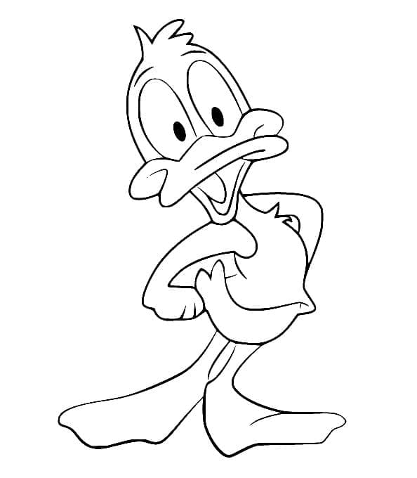 Daffy Duck fargelegging