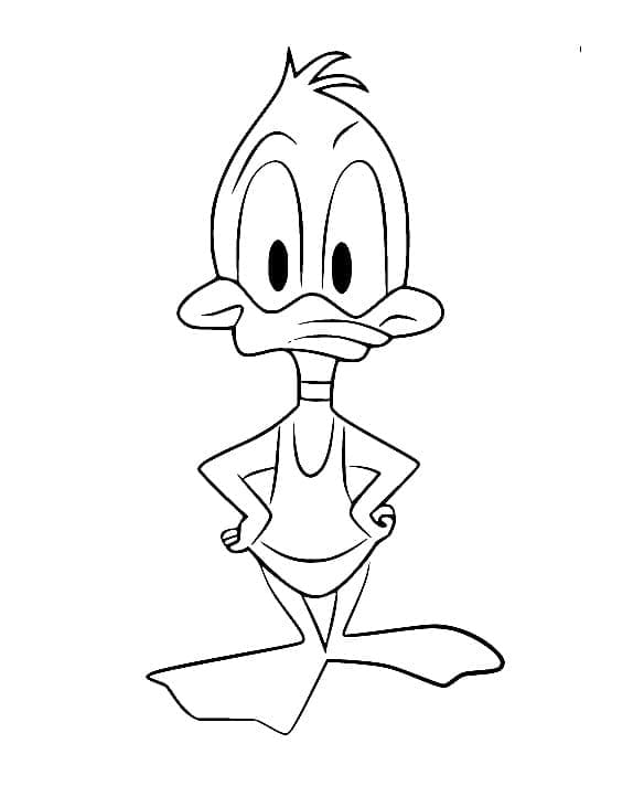 Lille Daffy Duck glad fargelegging