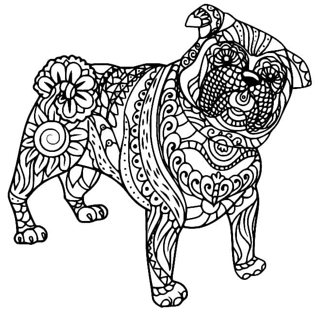 Mops Zentangle fargelegging