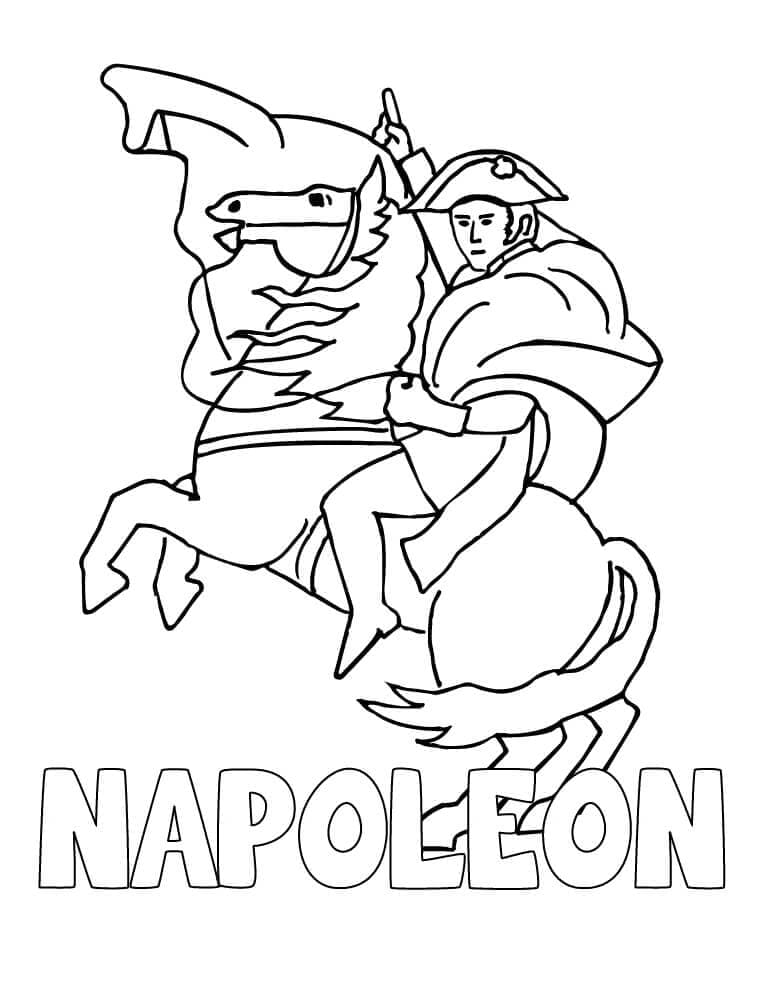 Napoleon fargelegging