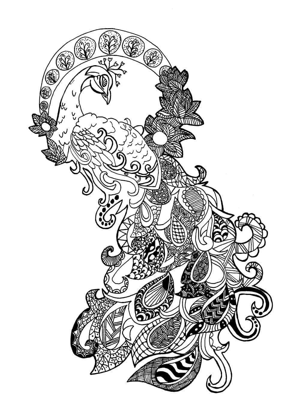 Påfuglzentangle fargelegging