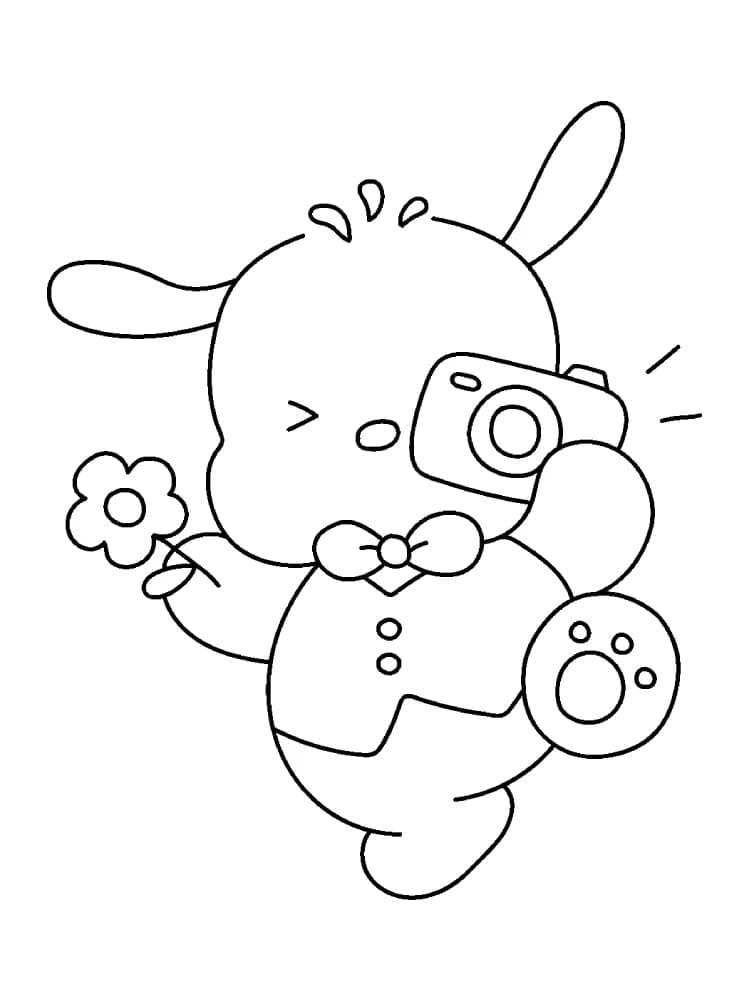 Sanrio Pochacco fargelegging Sanrio Pochacco fargelegging