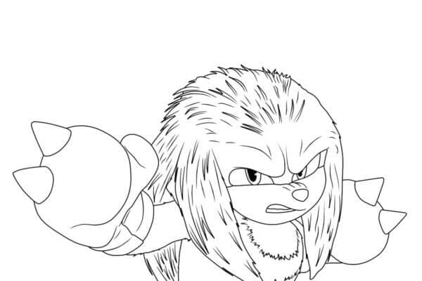 Store Knuckles the Echidna fargelegging Store Knuckles the Echidna fargelegging