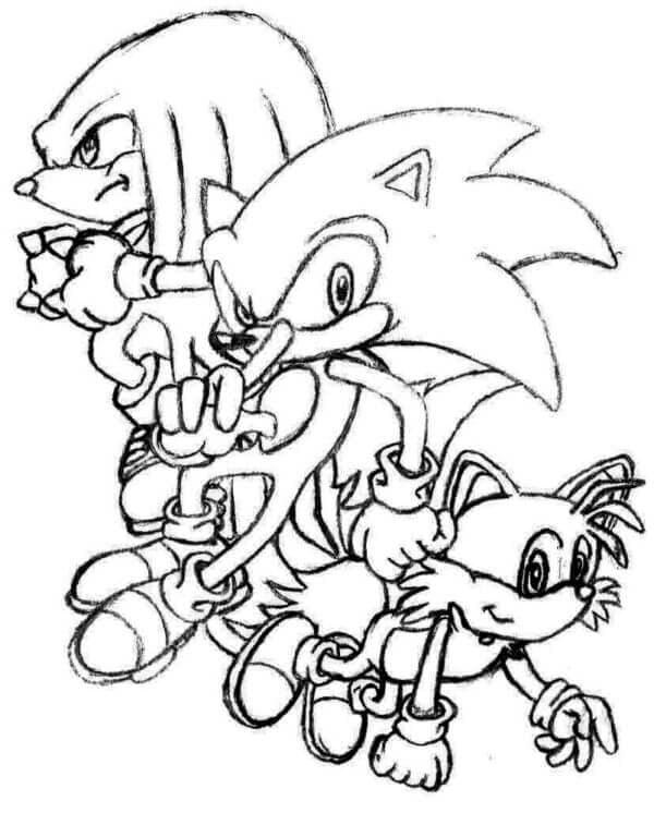 Tegning av Knuckles og venner fargelegging Tegning av Knuckles og venner fargelegging