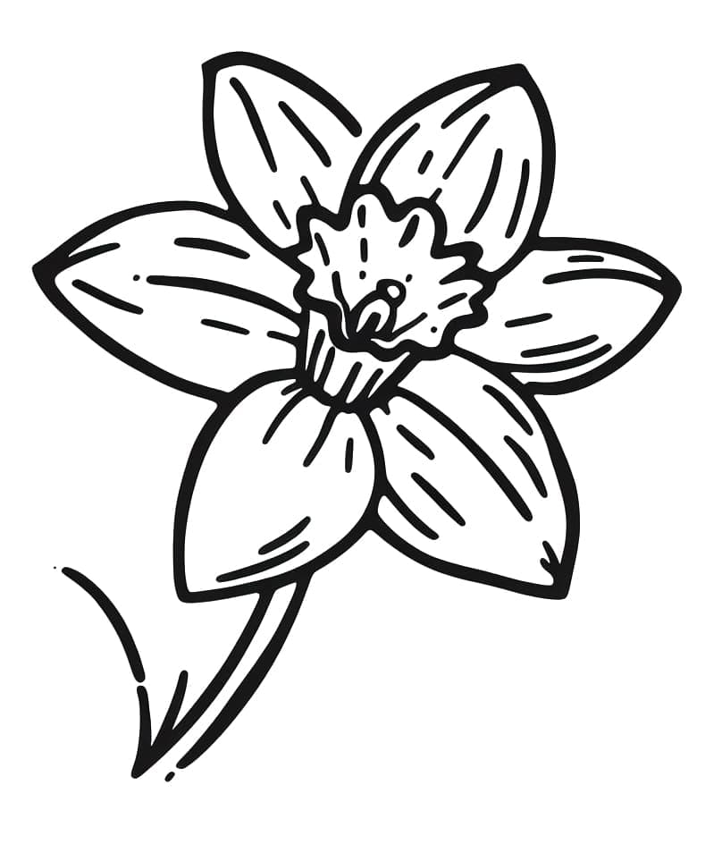 Utskrivbar påskeliljeblomst fargelegging