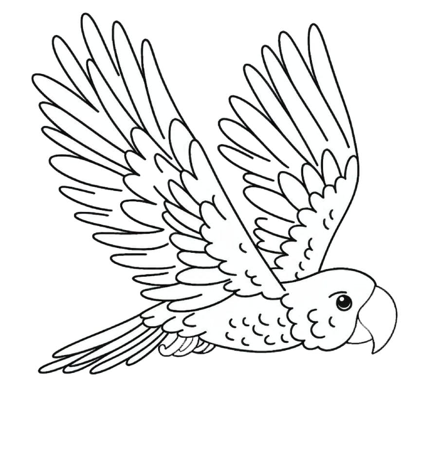 Den flygende papegøyen fargelegging