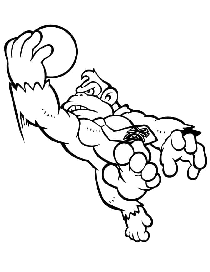 Donkey Kong spill fargelegging