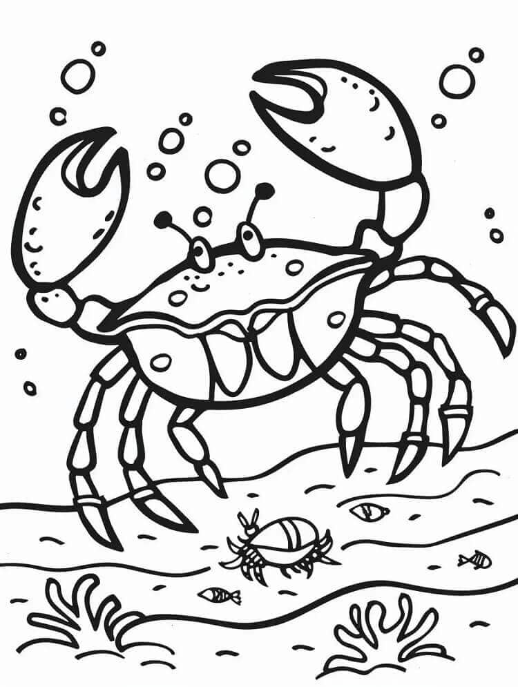 En krabbe fargelegging