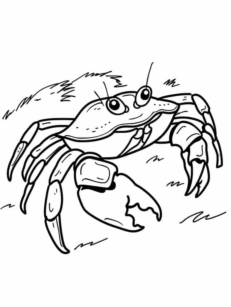 En morsom krabbe fargelegging