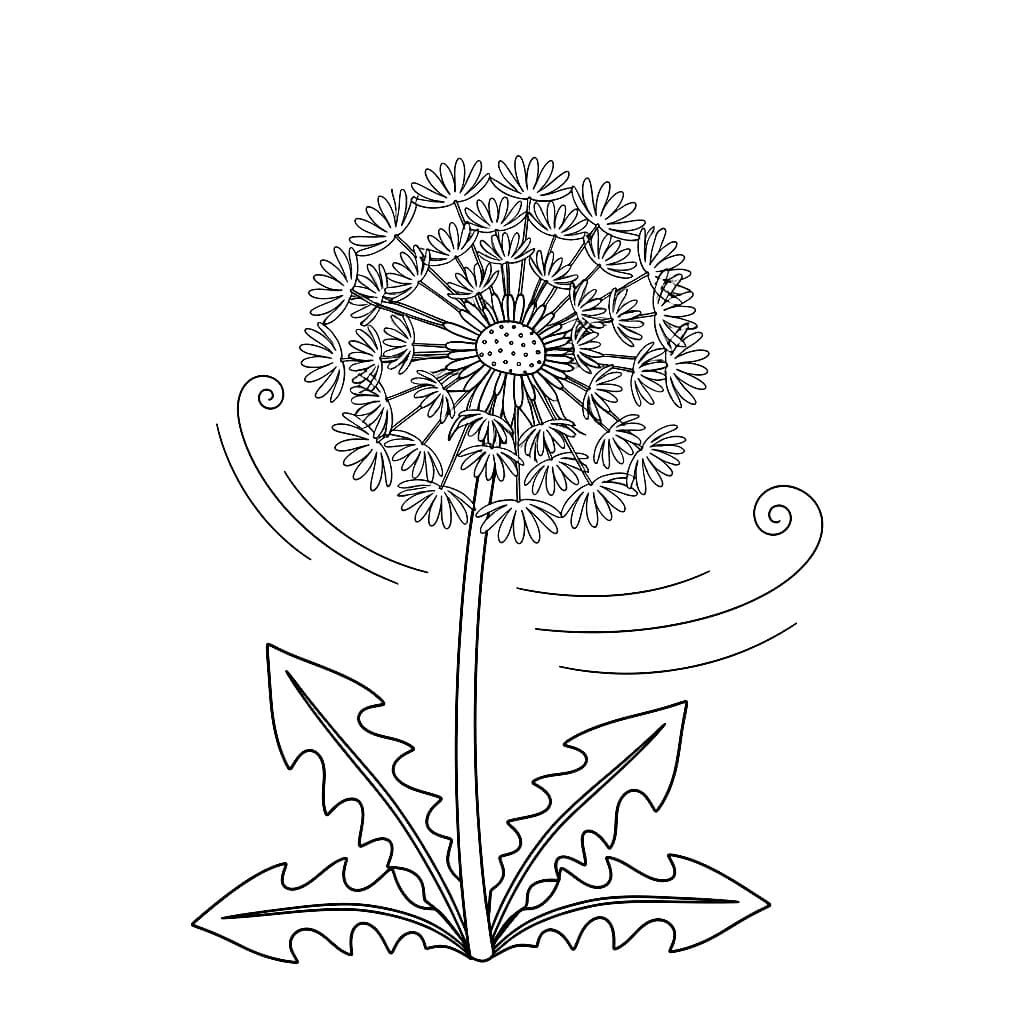 Enkel løvetann fargelegging