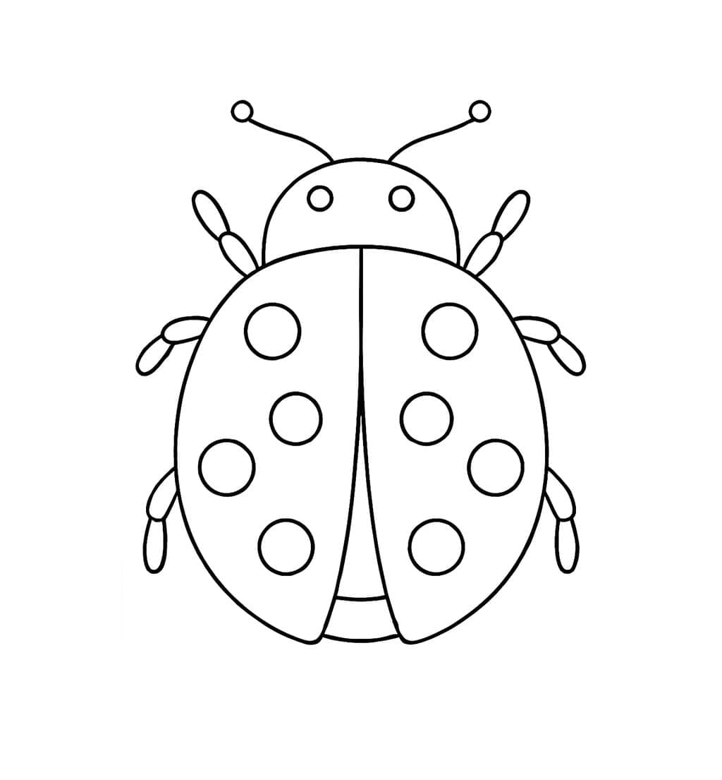 Enkel marihøneskisse fargelegging