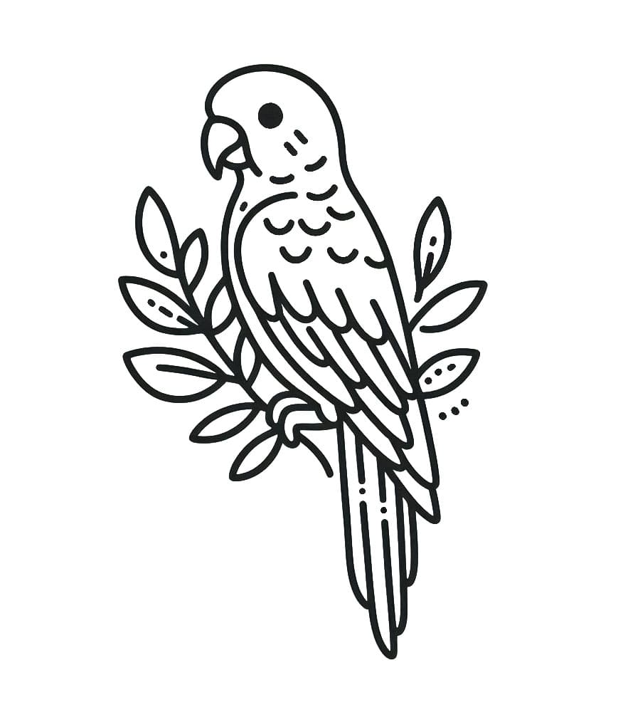 Enkel papegøye fargelegging