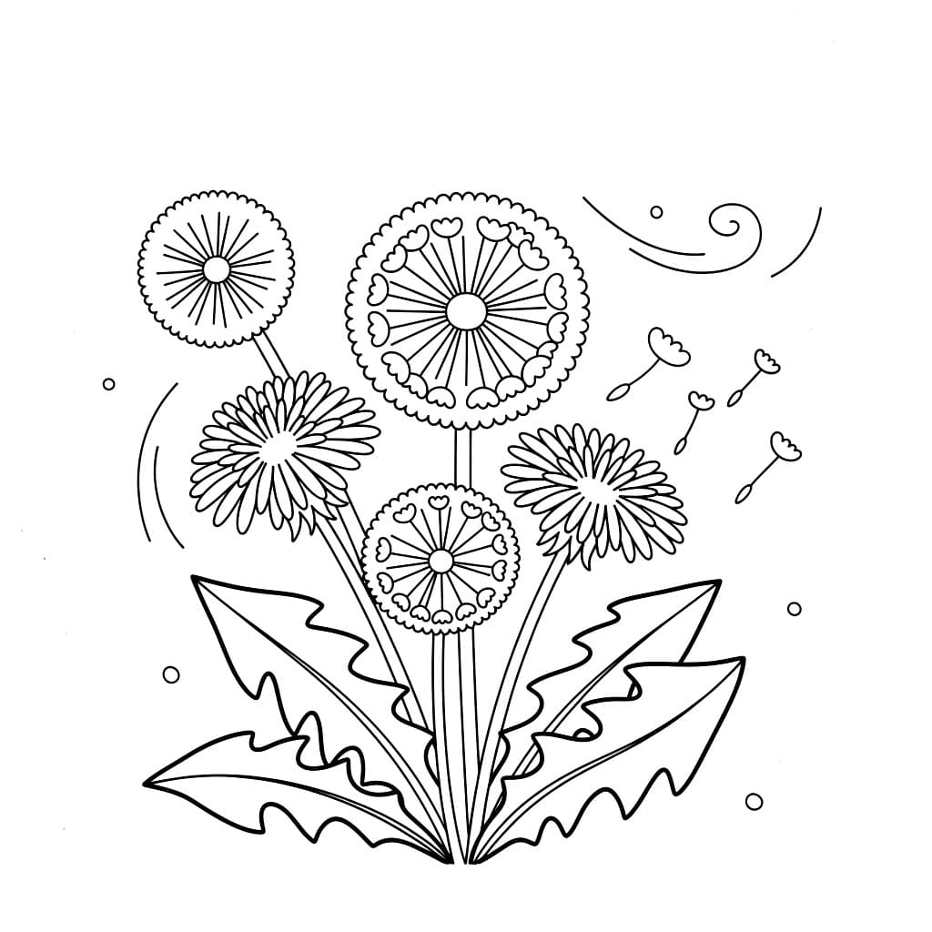 Fet løvetann fargelegging