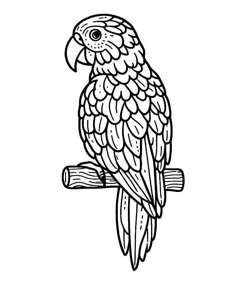 Gammeldags papegøye fargelegging
