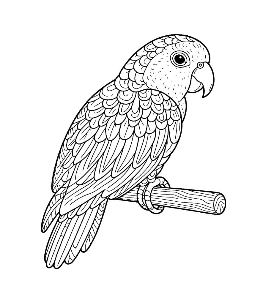 Gratis stor papegøye fargelegging