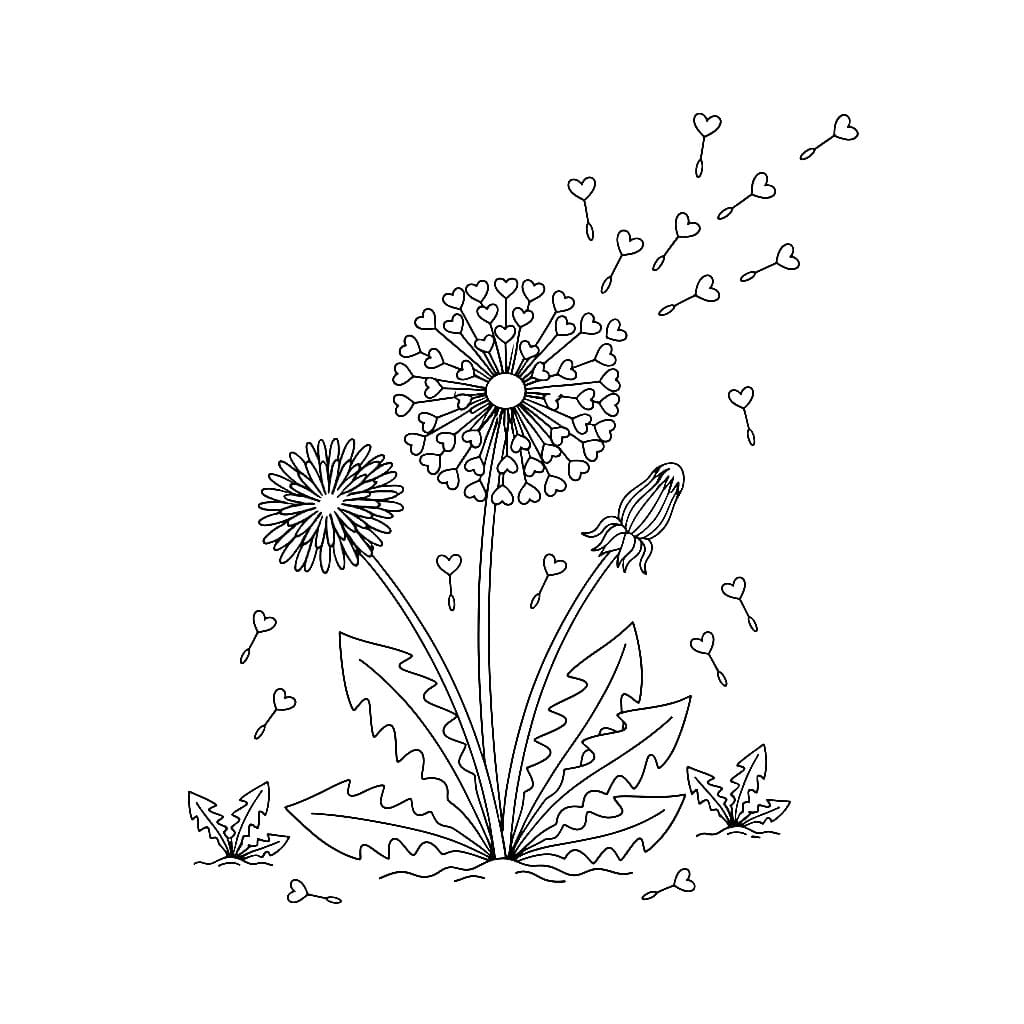 Grunnleggende løvetann fargelegging