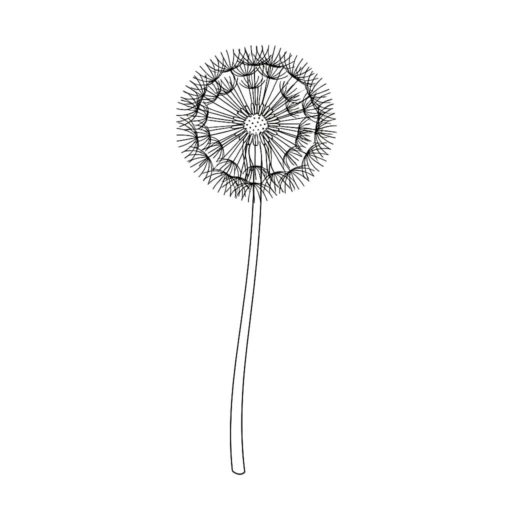 Løvetann er veldig enkel fargelegging