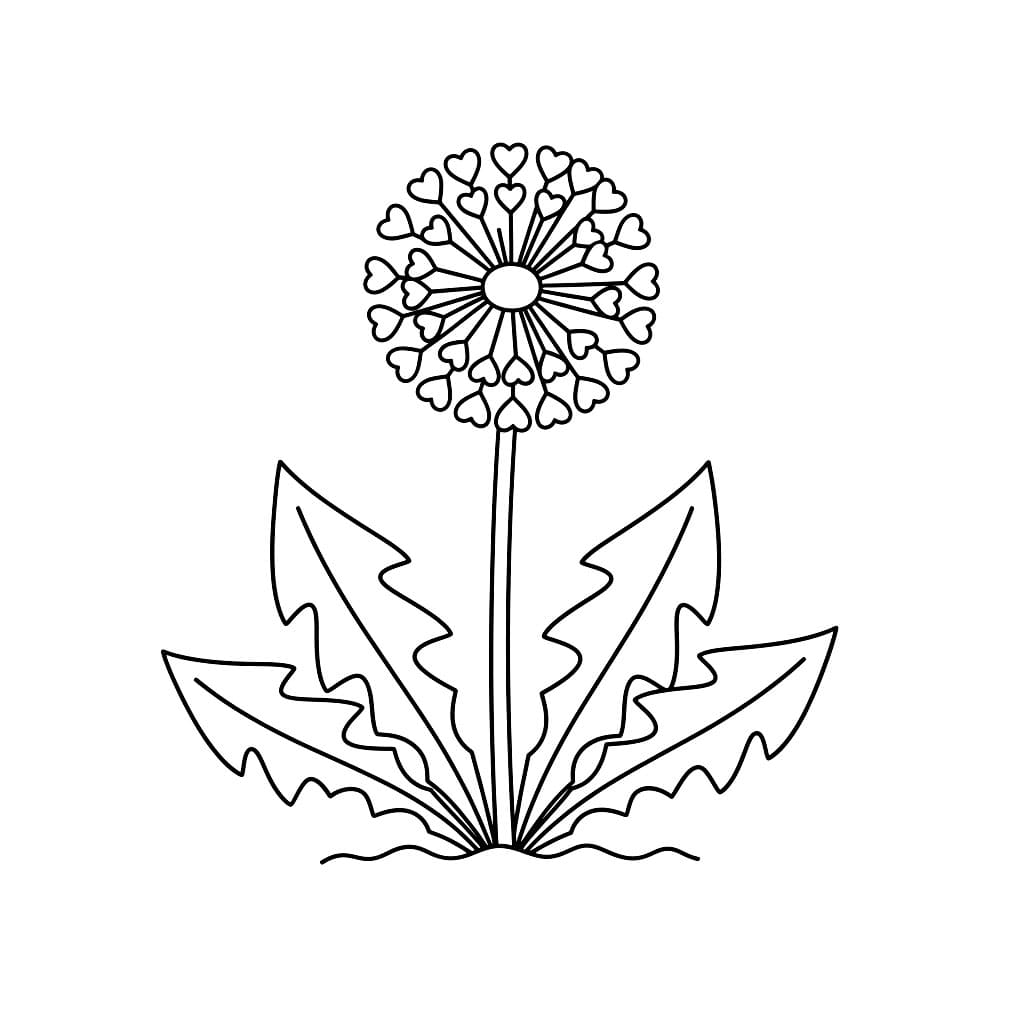 Løvetann forfra fargelegging