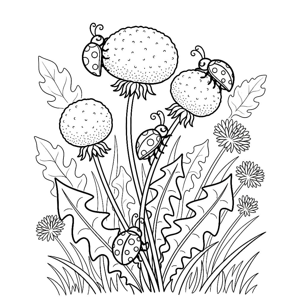 Løvetann med marihøne fargelegging