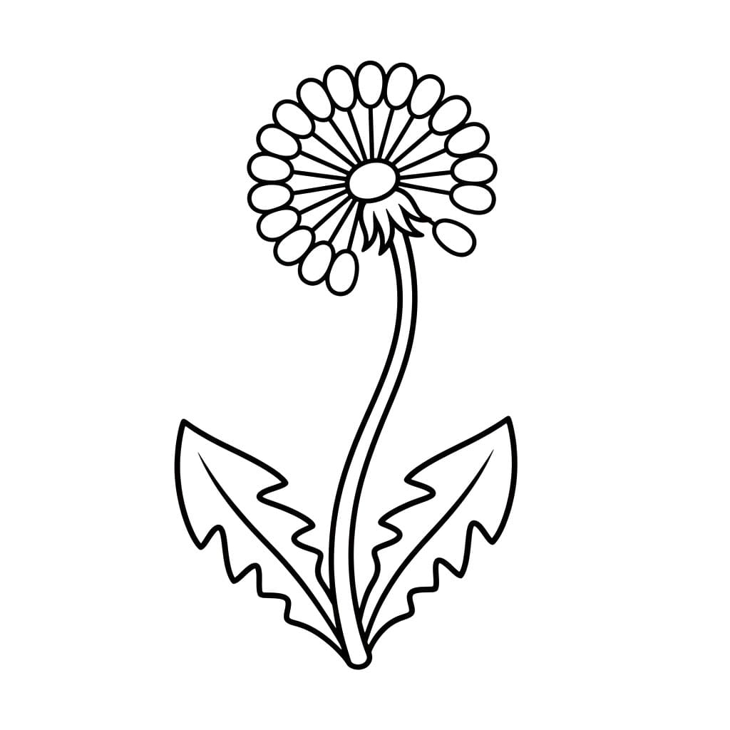 Løvetann med myk buet stilk fargelegging