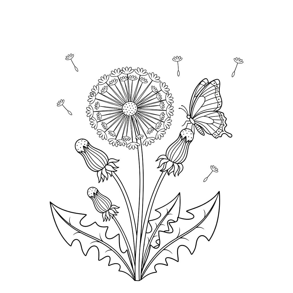 Løvetann med sommerfugl fargelegging