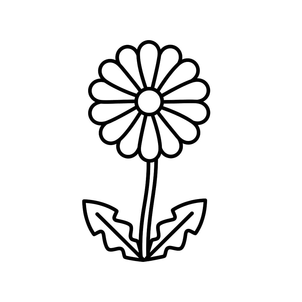 Løvetann med tykke linjer fargelegging