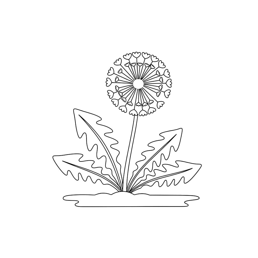 Løvetann på bakken fargelegging