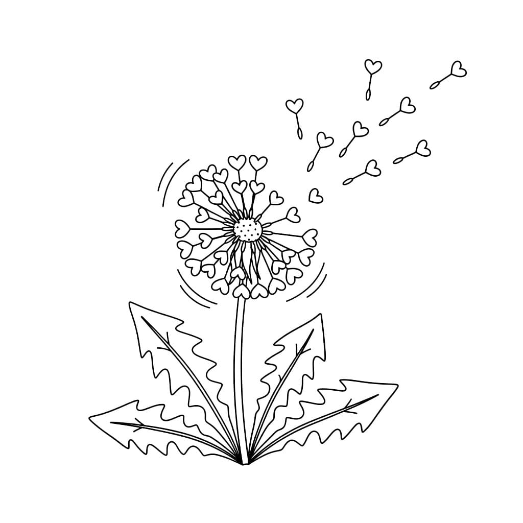 Løvetannen feller frø fargelegging