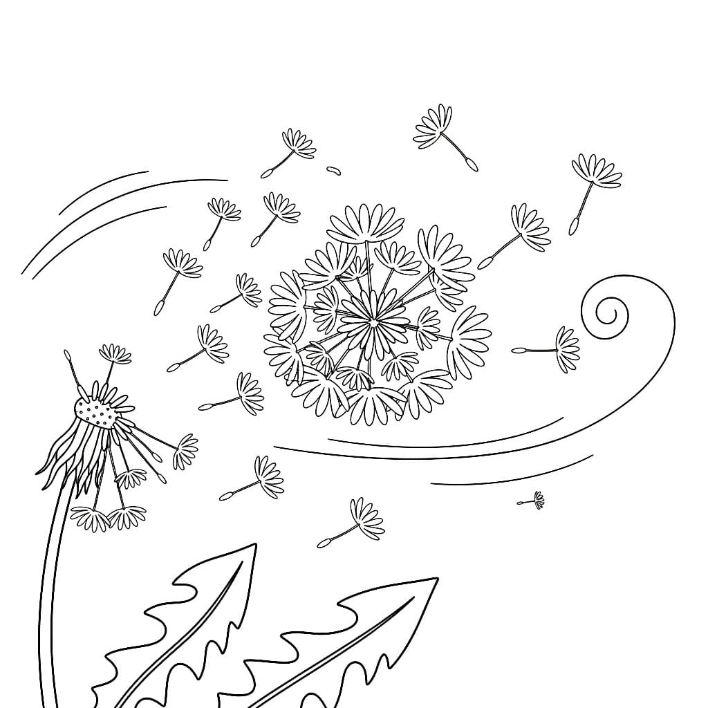 Løvetannen flyr i vinden fargelegging