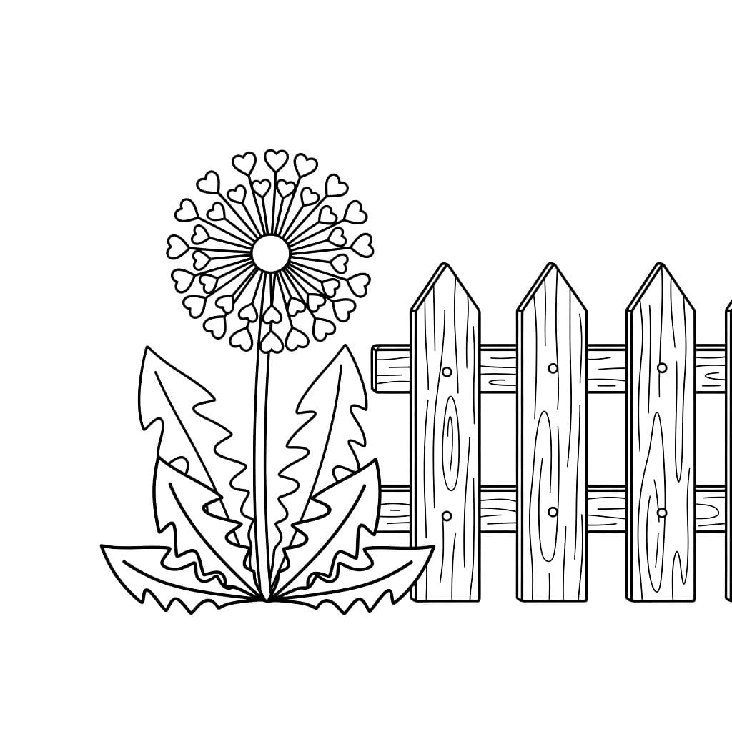 Løvetannen ved siden av gjerdet fargelegging