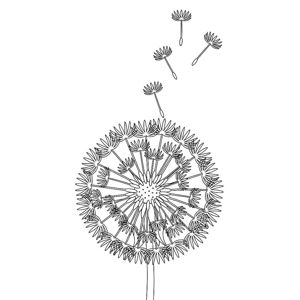 Løvetannfrø flyr opp fargelegging