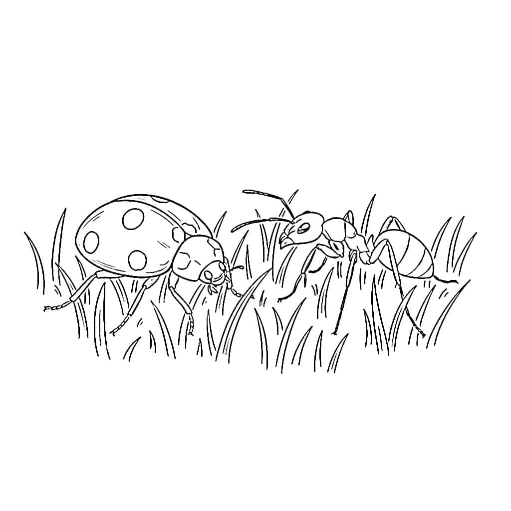 Marihøne med maur fargelegging