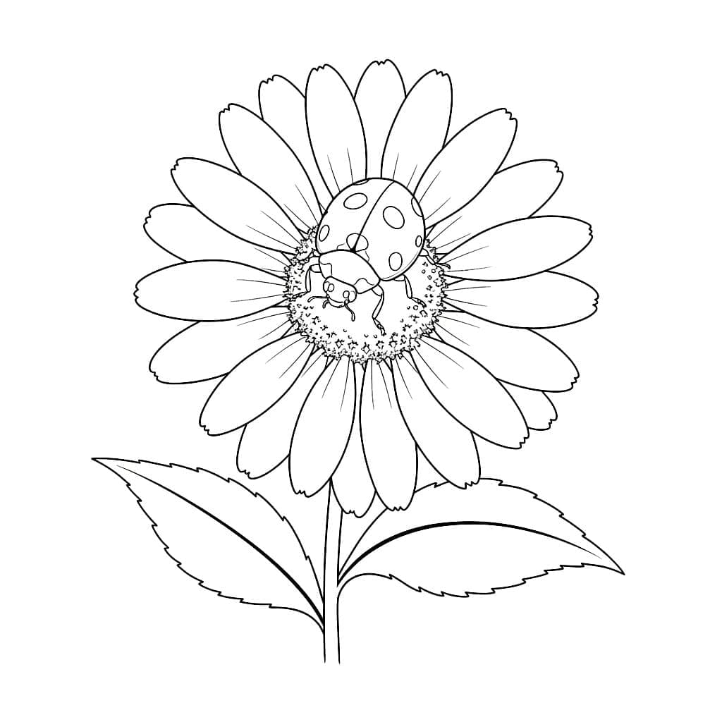 Marihøne på blomst fargelegging