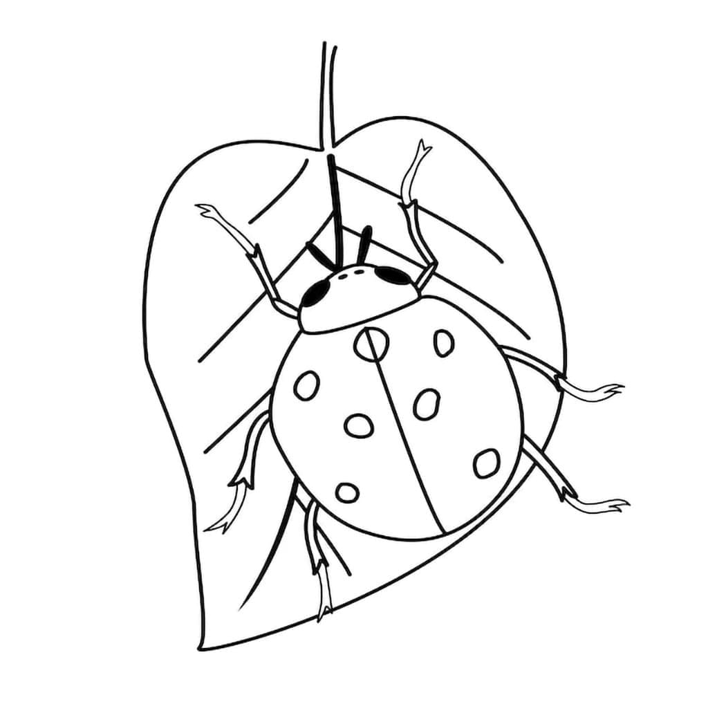 Marihøne på et blad fargelegging