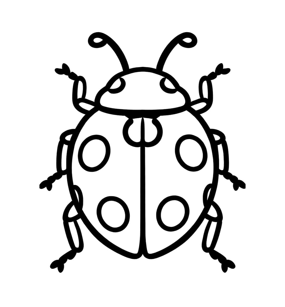 Marihøneskisse fargelegging