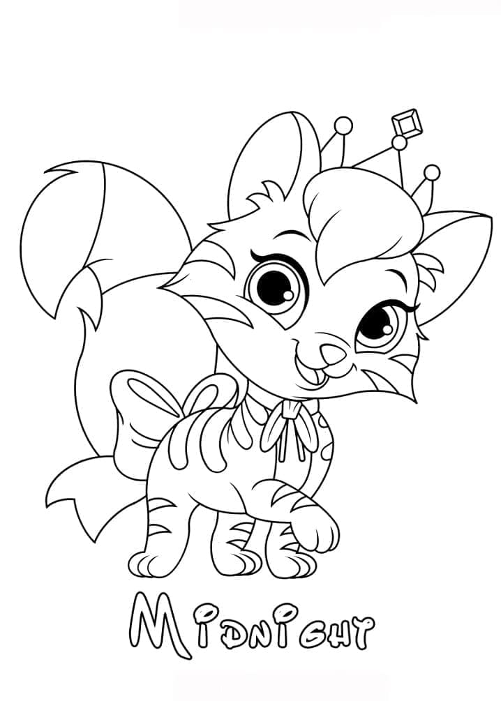 Midnight fra Palace Pets fargelegging