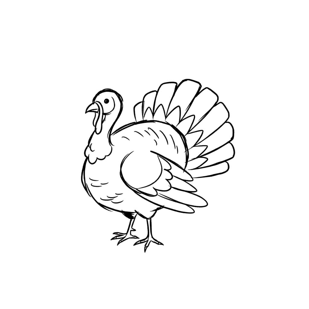 Minimalistisk Doodle kalkun fargelegging