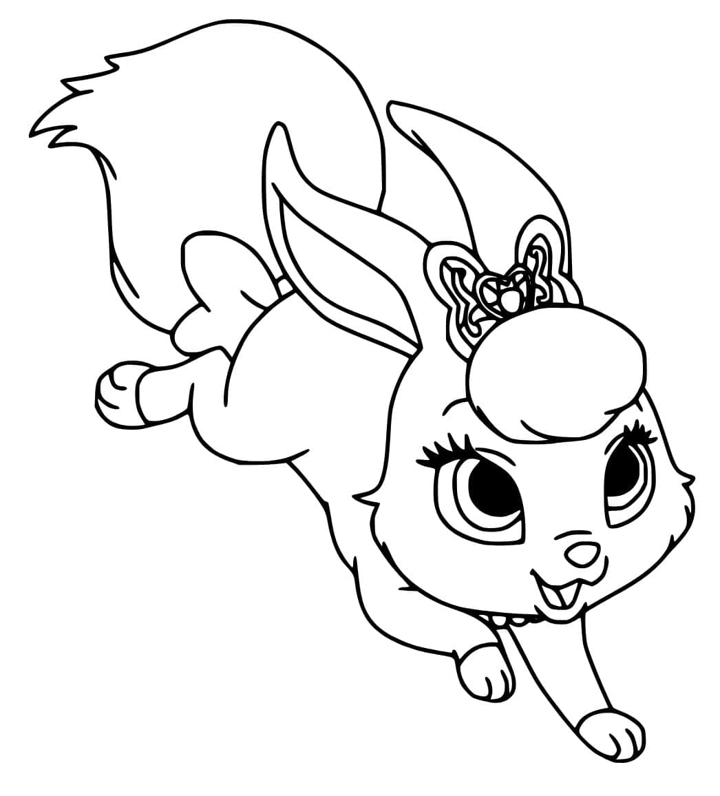 Palace Pets Berry fargelegging