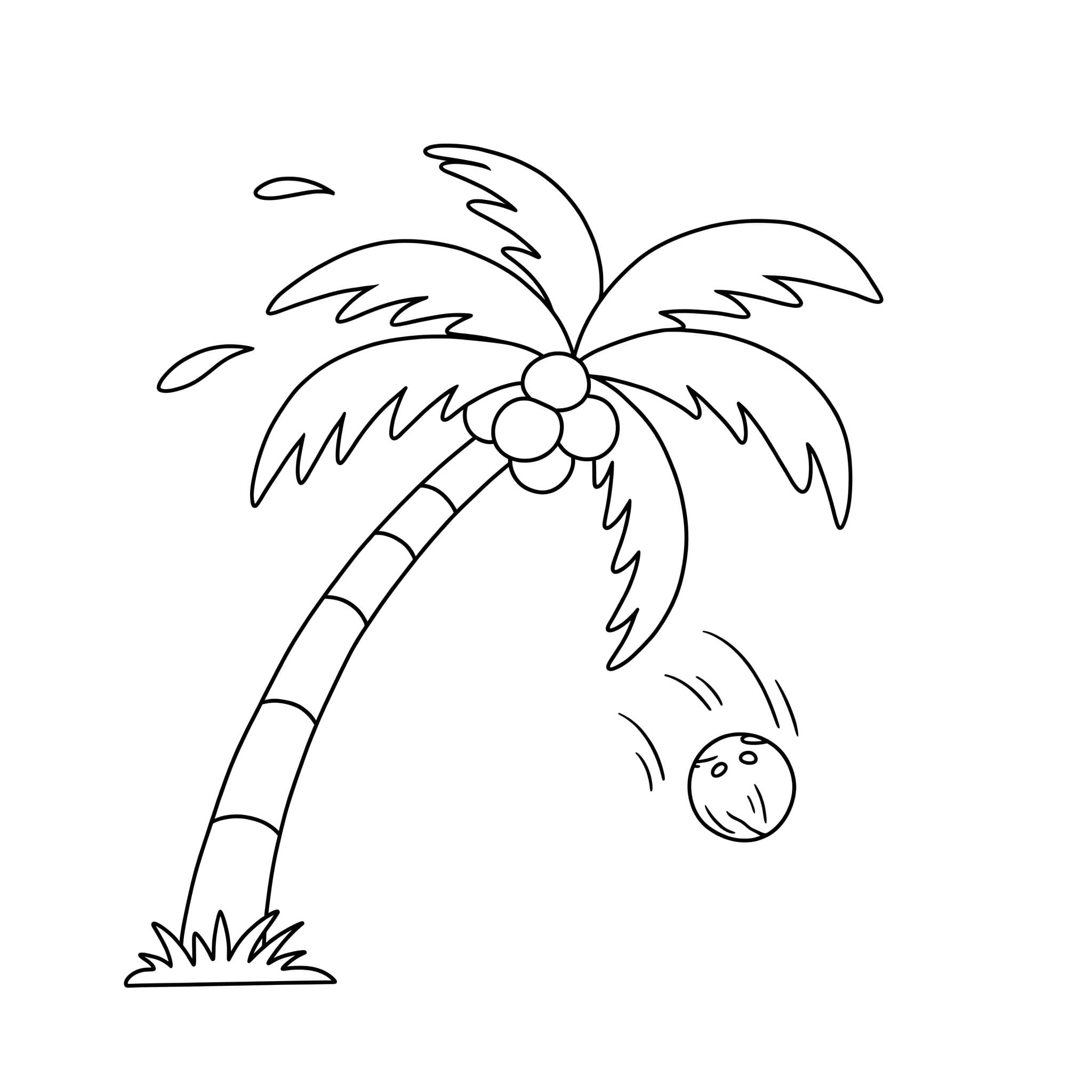 Palmetre og frukt fargelegging