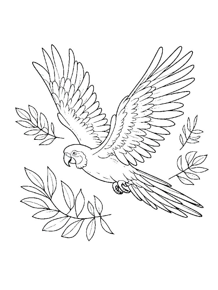 Papegøye med blader fargelegging